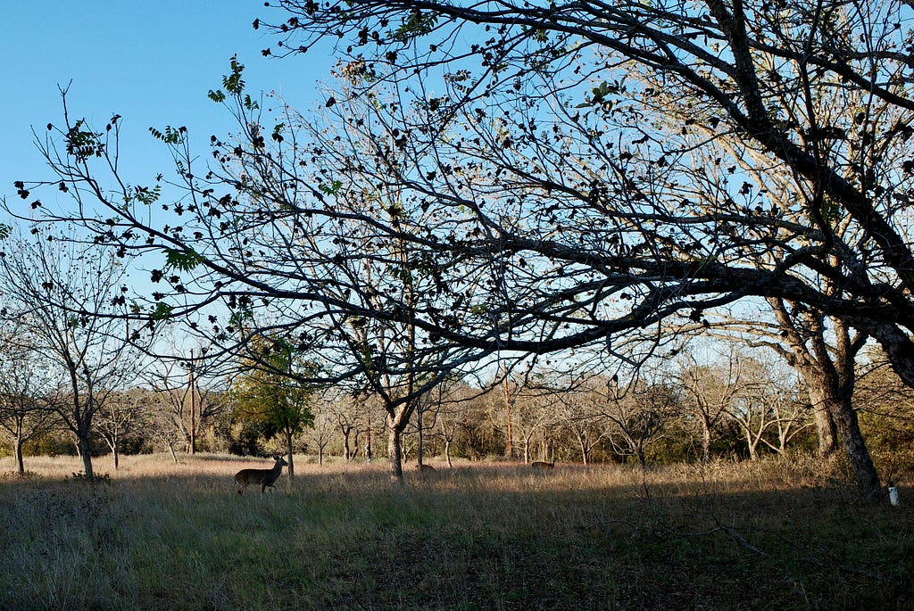 User defined functions in Atlas Stream Processing — $function