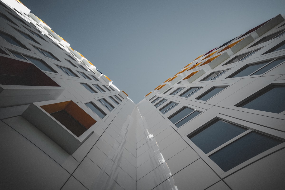 Partially D podcast and beer for dinner